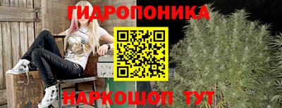 СК Заводоуковск