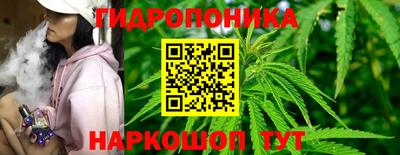 стаф Жуковский