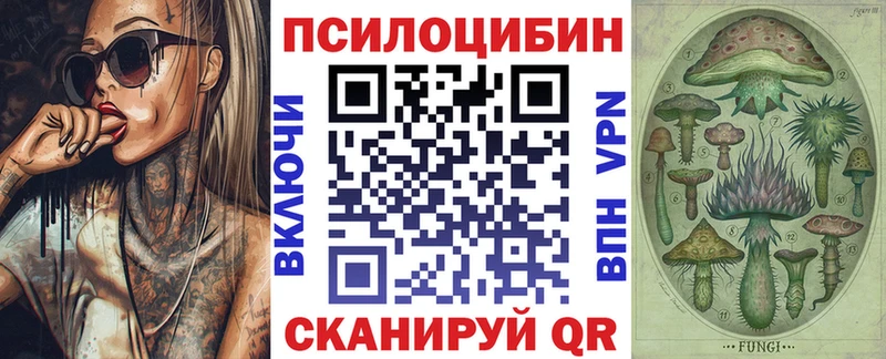 магазин продажи наркотиков  Унеча  Галлюциногенные грибы Psilocybe 