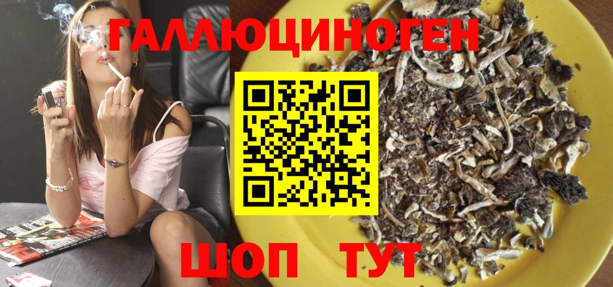 закладки  Унеча  Псилоцибиновые грибы Cubensis 