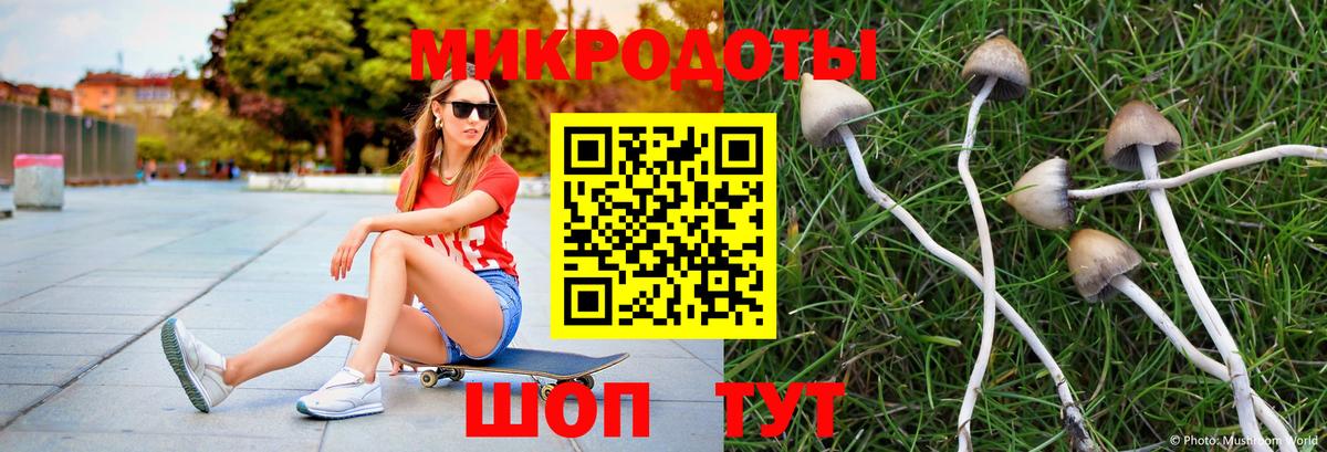 Галлюциногенные грибы прущие грибы Унеча