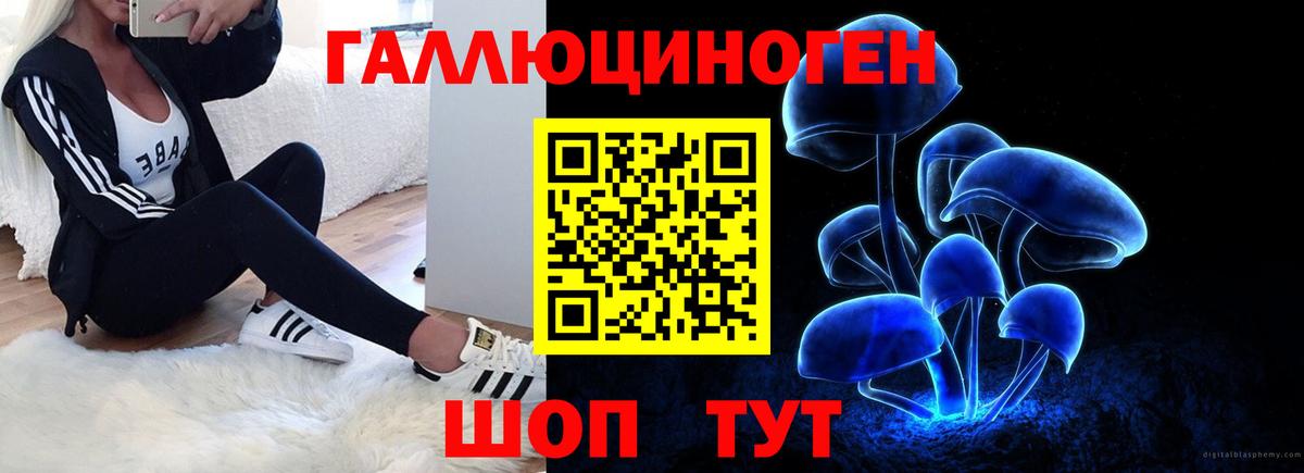 Псилоцибиновые грибы мухоморы Унеча